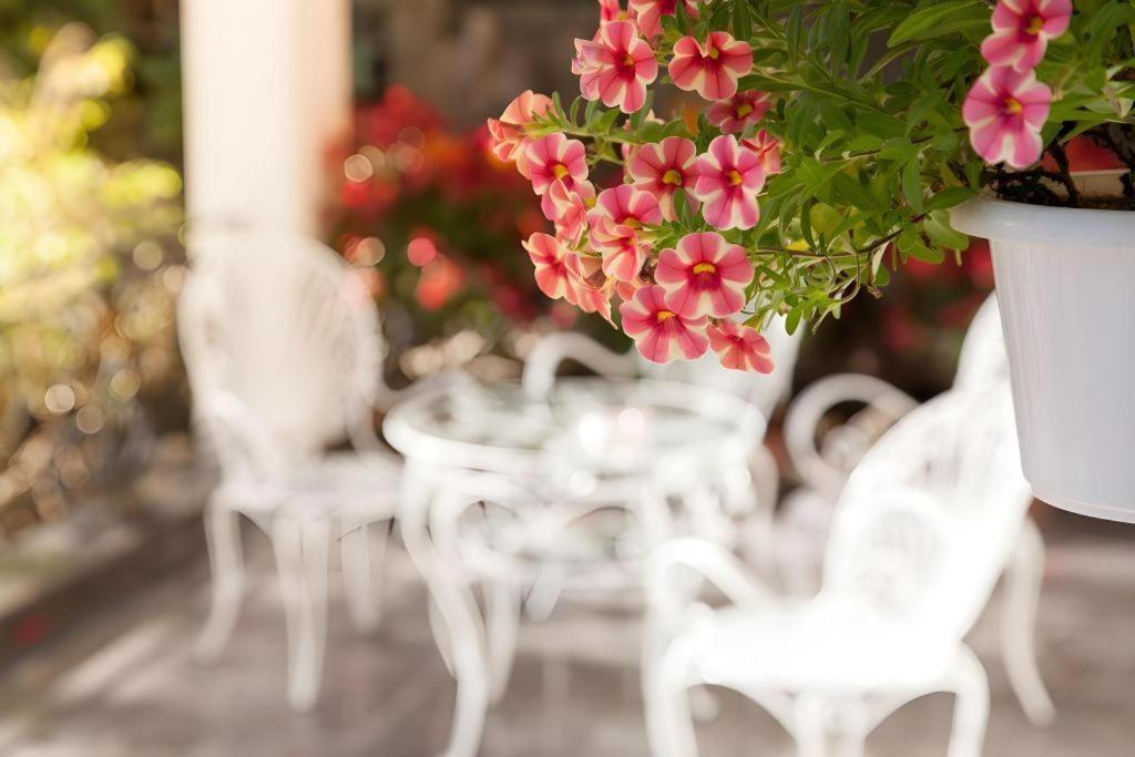 Hoa Sen Vang Hotel Dalat Buitenkant foto