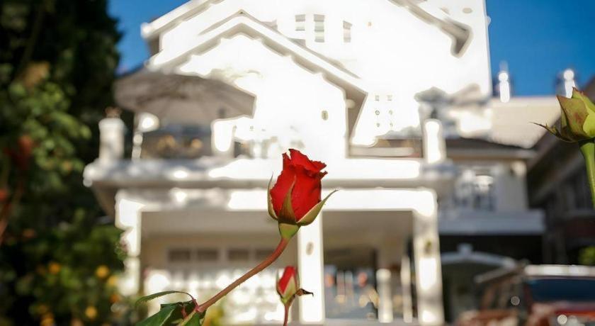 Hoa Sen Vang Hotel Dalat Buitenkant foto