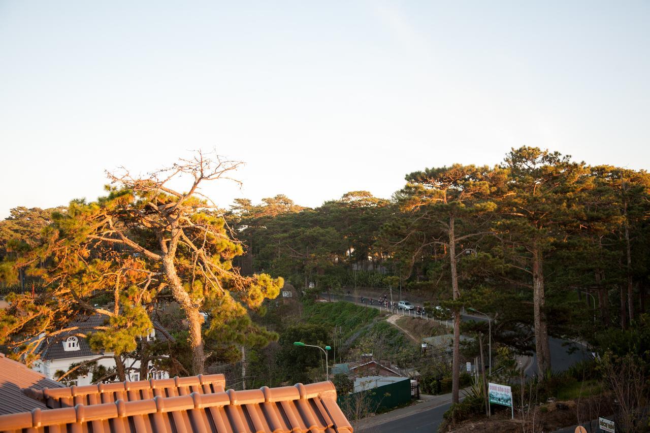 Hoa Sen Vang Hotel Da Lat Buitenkant foto